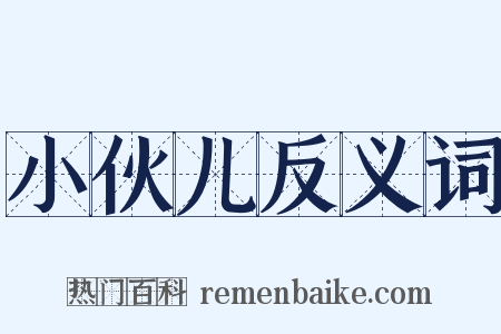 小伙儿反义词是什么意思的图片